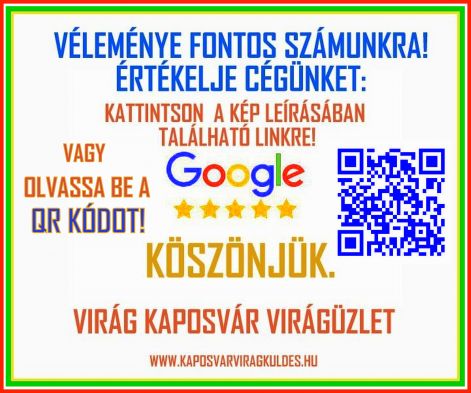 qr_kod_goggle_ertekeleshez_jo.jpg